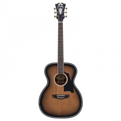 D'Angelico Premier Tammany...