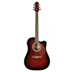 Flame Pro DC 20E WRS