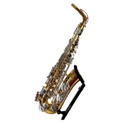 Parrot TY810 Two-Tone Sax Alto