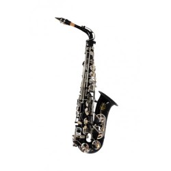 Parrot RL170 BK Lacquer...