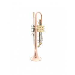Orlando OTR 541L trompeta Bb