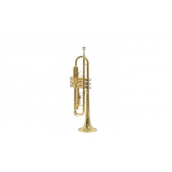 Parrot 6416L-1